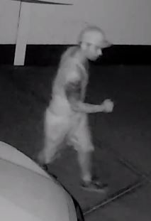 Red Deer RCMP release a surveillance photo of a break-in suspect, Thurs., May 24, 2018.
