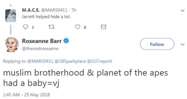 Roseanne Barr gives first TV interview since racist tweet: ‘It cost me everything’ - image