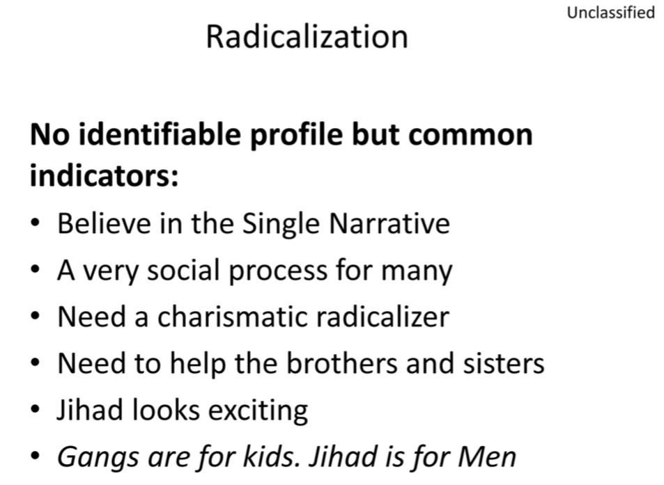 An RCMP document, obtained by Global News, on the indicators of violent radicalization.