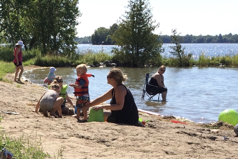 Selwyn Conservation Area, as seen in 2016.