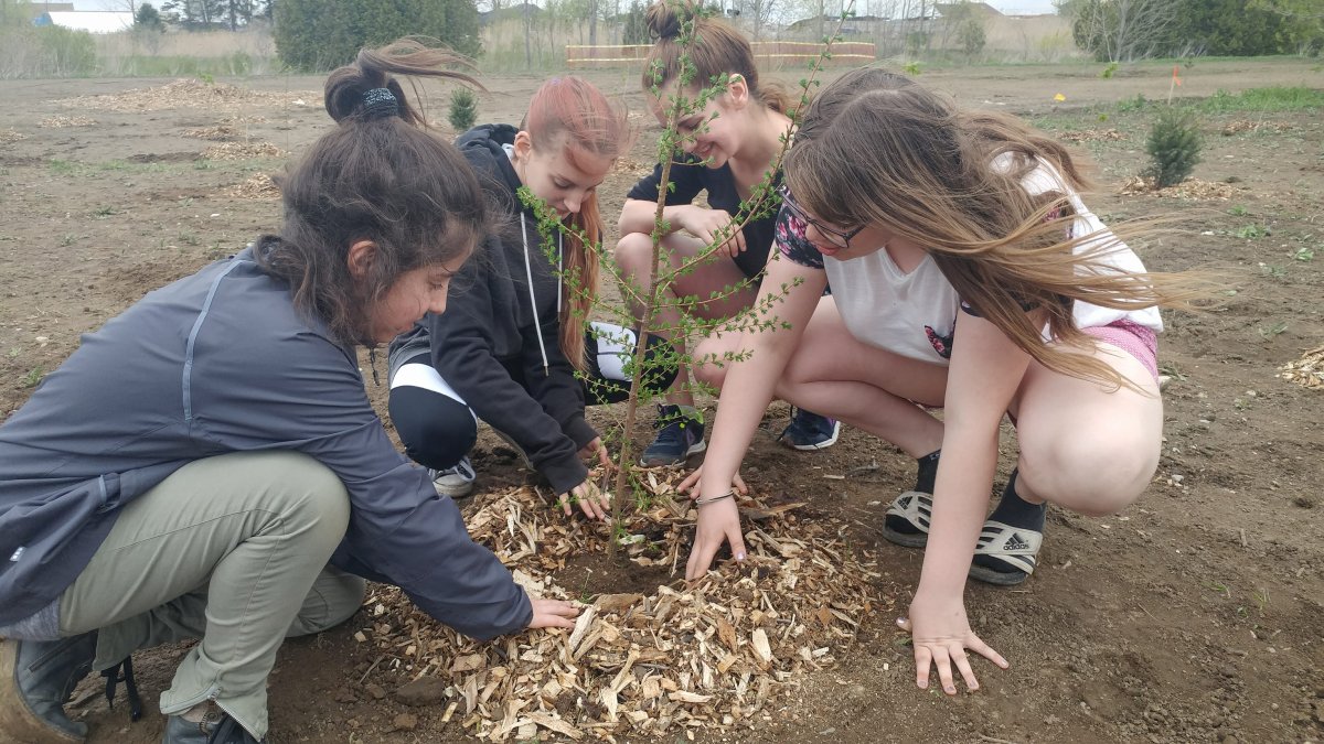 London Ont. students plant tress with local conservation on thursday, May 10.