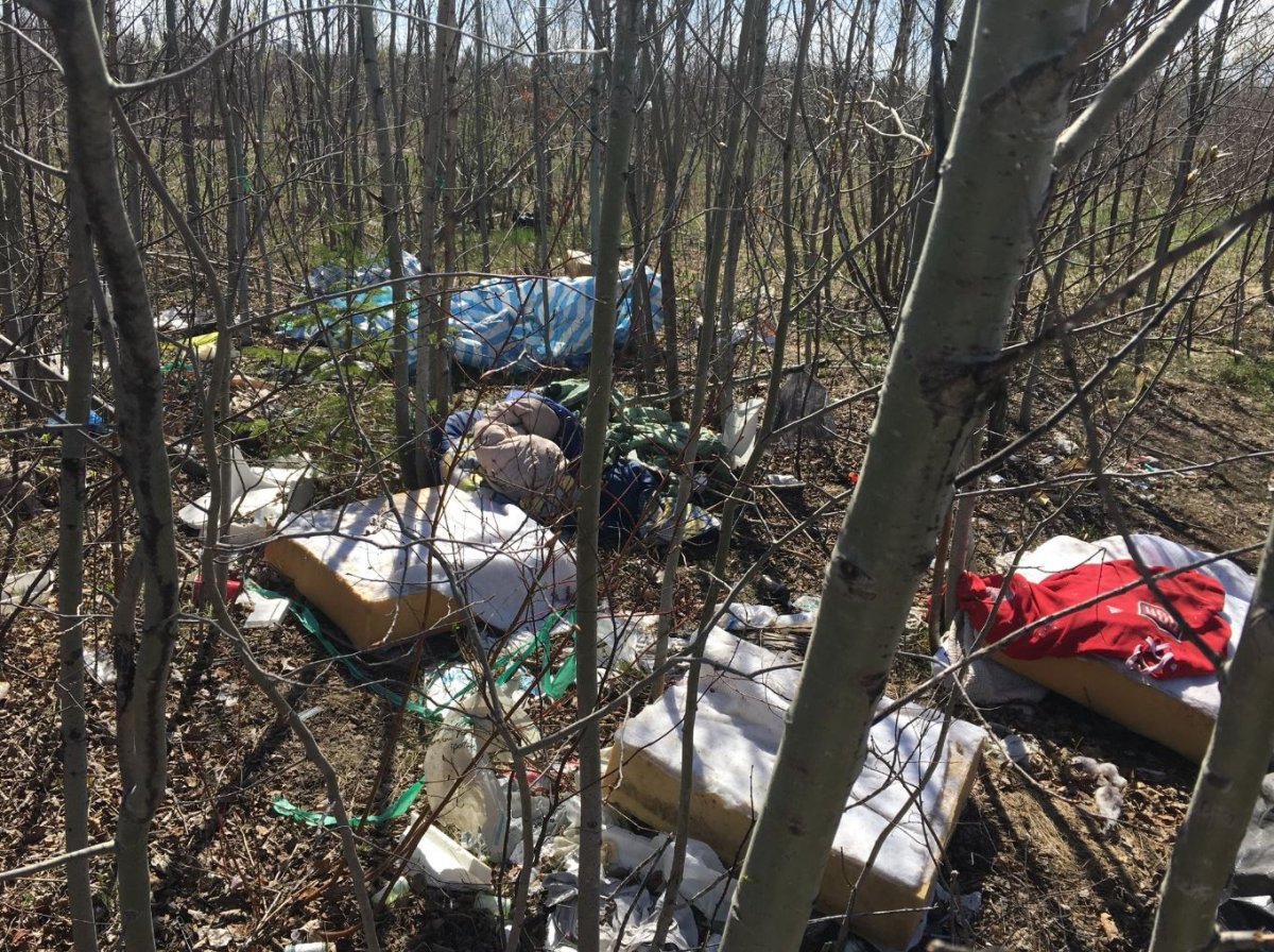 These tent cities have been popping up in the Moncton area. 