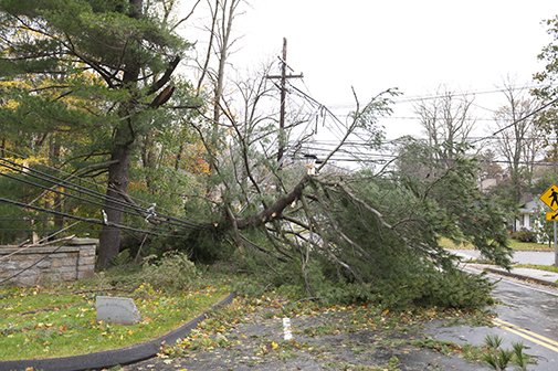 Guelph Hydro said 1,600 customers were without power during Friday's wind storm due to downed wires.