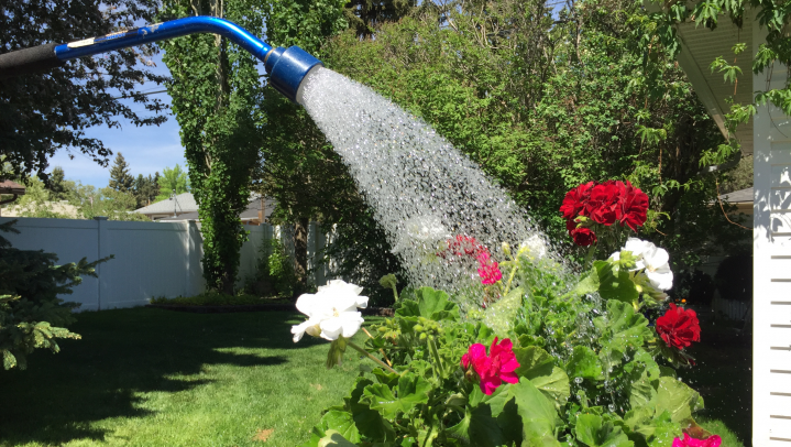 The dry weather in Regina has the city encouraging residents to water their plants, limit their water use and to be careful using fire pits.