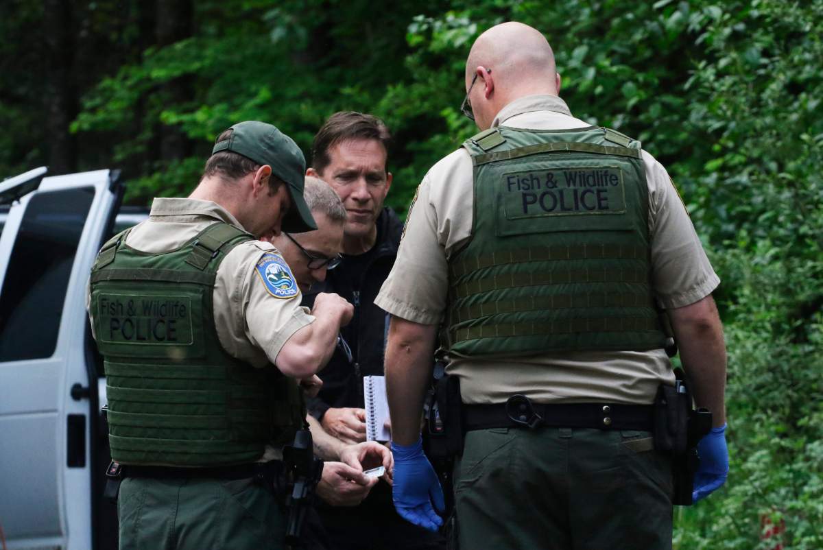 File – In this Saturday, May 19, 2018 file photo, Washington State Fish and Wildlife Police confer with an individual from the King County Medical Examiner’s and a King County Sheriff’s deputy on a remote gravel road above Snoqualmie, following a fatal cougar attack.