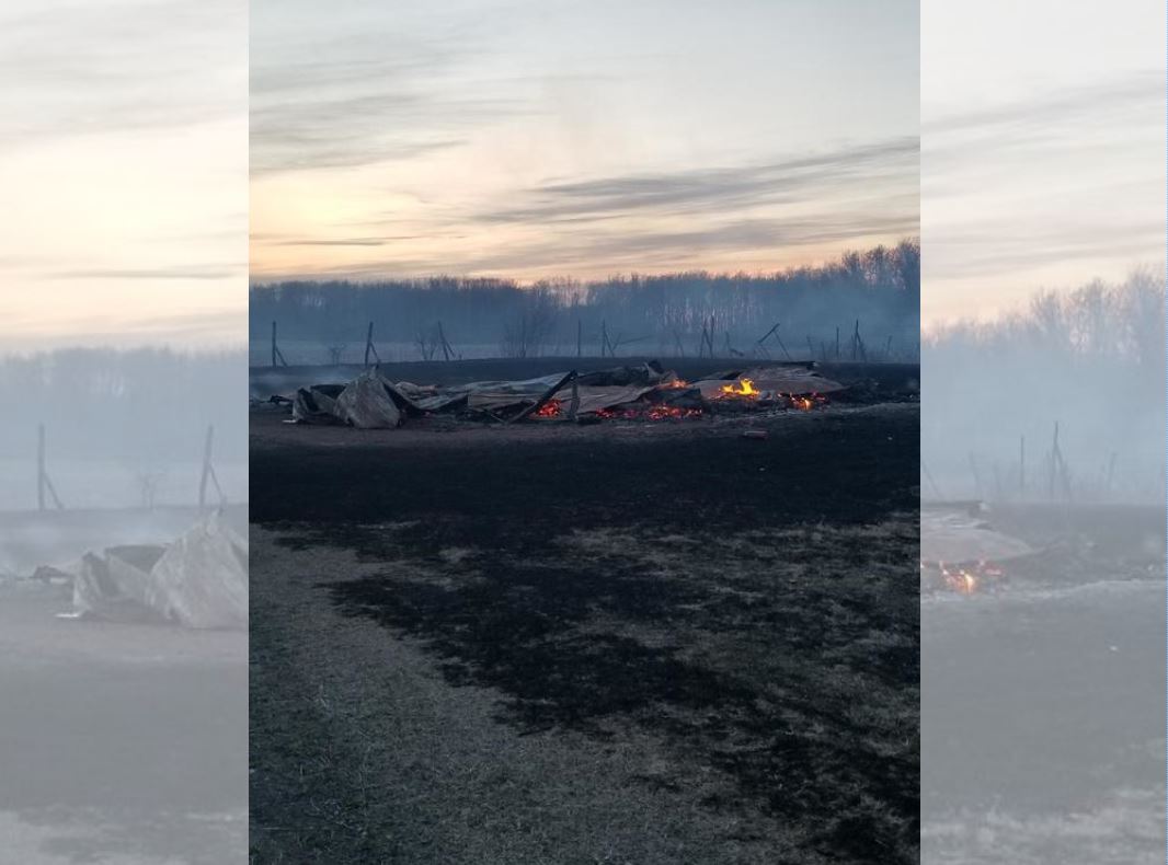 Fire destroyed multiple homes in Little Saskatchewan.