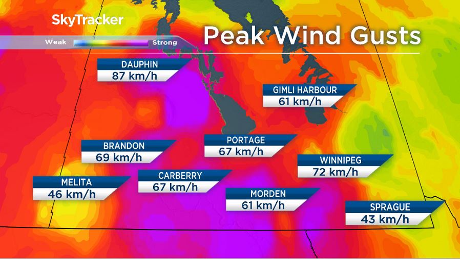 Windy Winnipeg conditions create challenges for drivers and pedestrians - image
