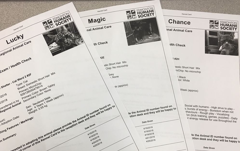 The Edmonton Humane Society said it is open to an external investigation after three cats were forgotten in a transport van for three weeks.