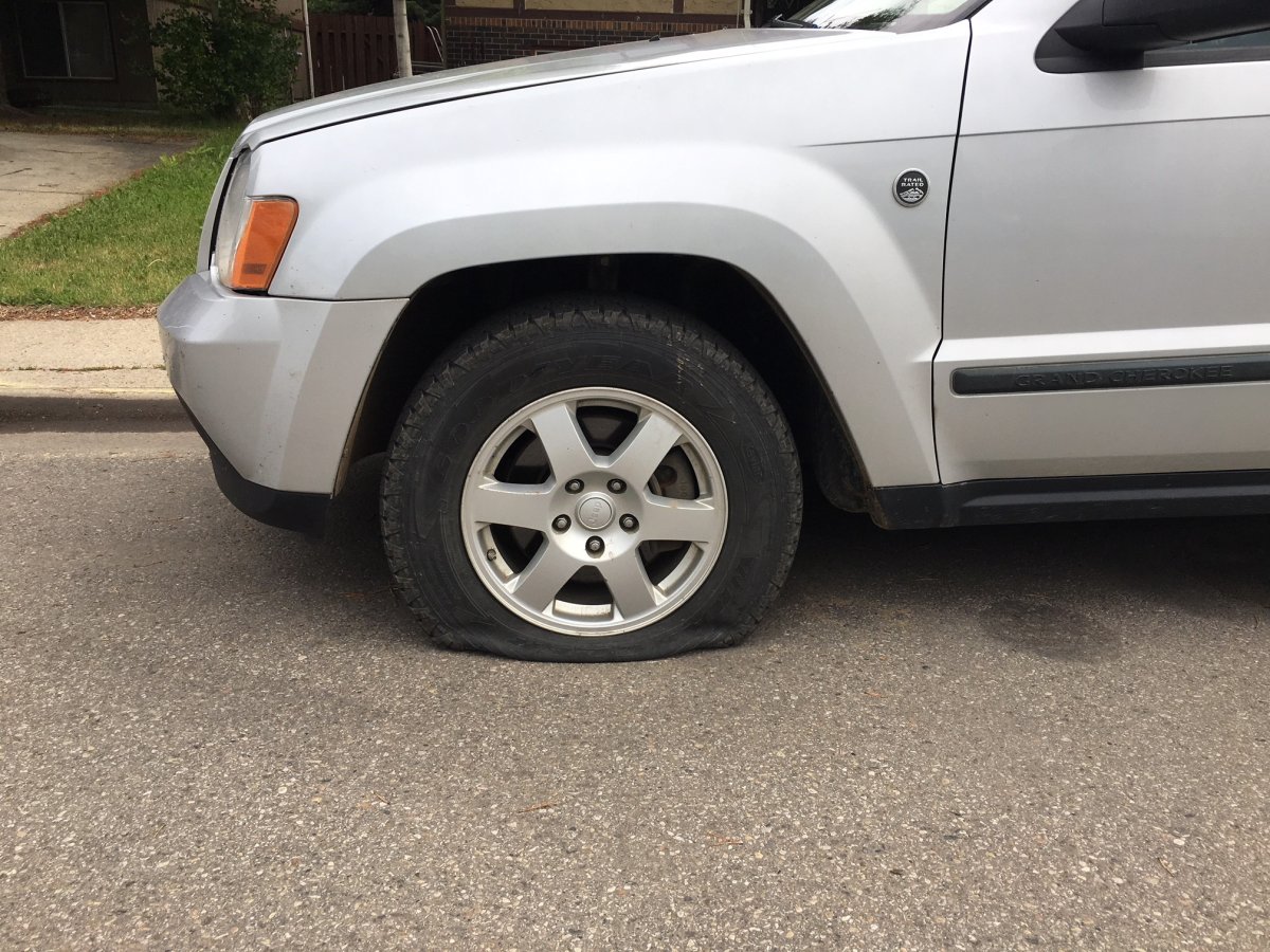 About 16 vehicles in southeast Edmonton were targeted by vandals early Monday morning, June 4, 2018.