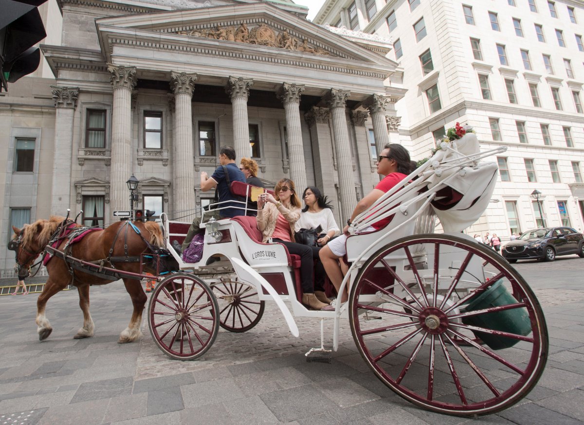 As of Jan. 1, the city has banned horse-drawn guided carriage tours, citing heightened concern over animal welfare and a series of high-profile incidents involving the horses that spawned a wave of outrage and concern from citizens.