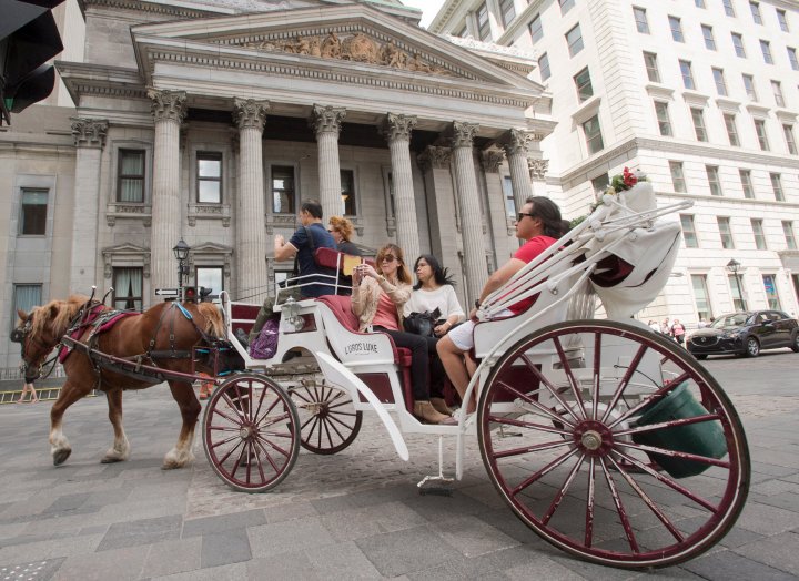 Montreal’s horse drawn carriage industry rides off into history, but