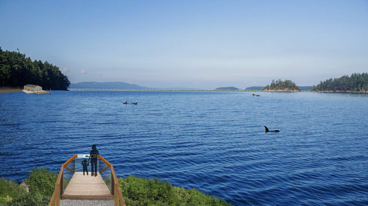An artist's rendering of a planned whale sanctuary, which could be located in Nova Scotia or Washington state, shown in a handout.