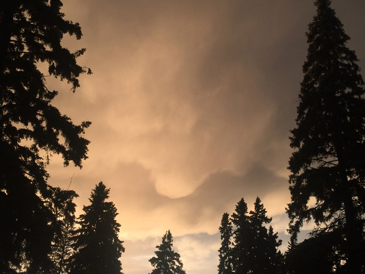 Много хора прекарват времето си навън в топлото време но