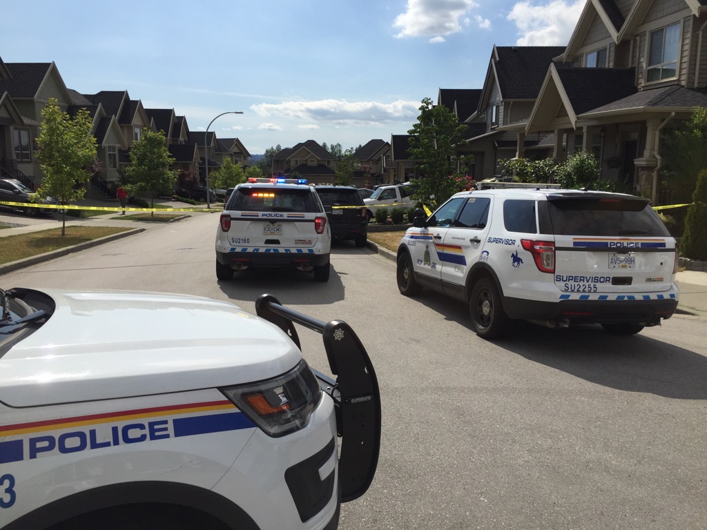 Police on scene at 183A street and 67th Avenue, where witnesses say they heard about six gunshots on Saturday.