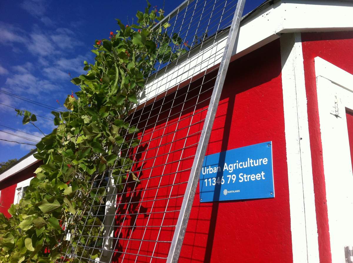 Compost Conversations with Markster Composter - image