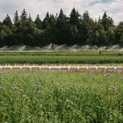 Outstanding in the Field Dinner with Chef Mark Perrier at Zaklan Heritage Farm - image