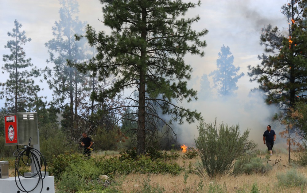 Tossed cigarette to blame for small brush fire near Oliver - image