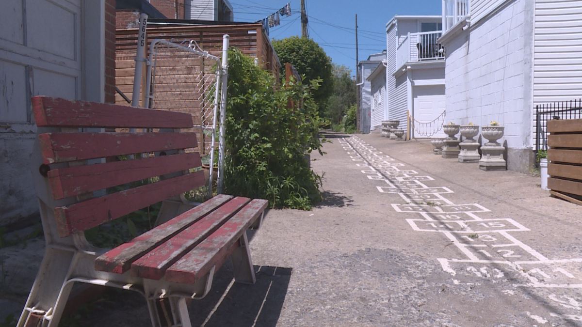 In Montreal's Rosemont neighbourhood, kids play in this green alleyway.