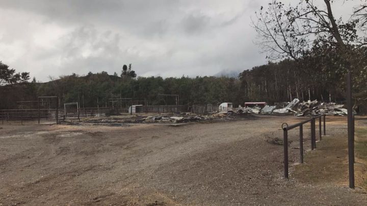 The Alpine Stables horseback riding business was devastated by the Kenow fire.