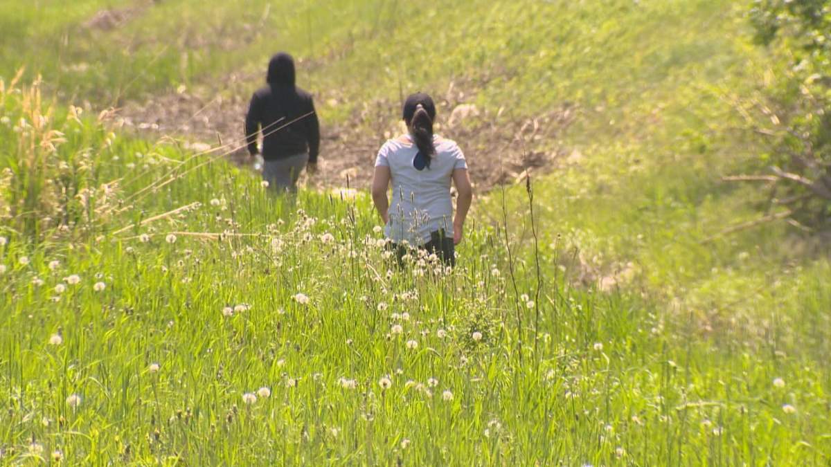 Family of Eduardo Balaquit combed the ditches along the Perimeter Highway Thursday searching for any sign of the missing husband and father. 