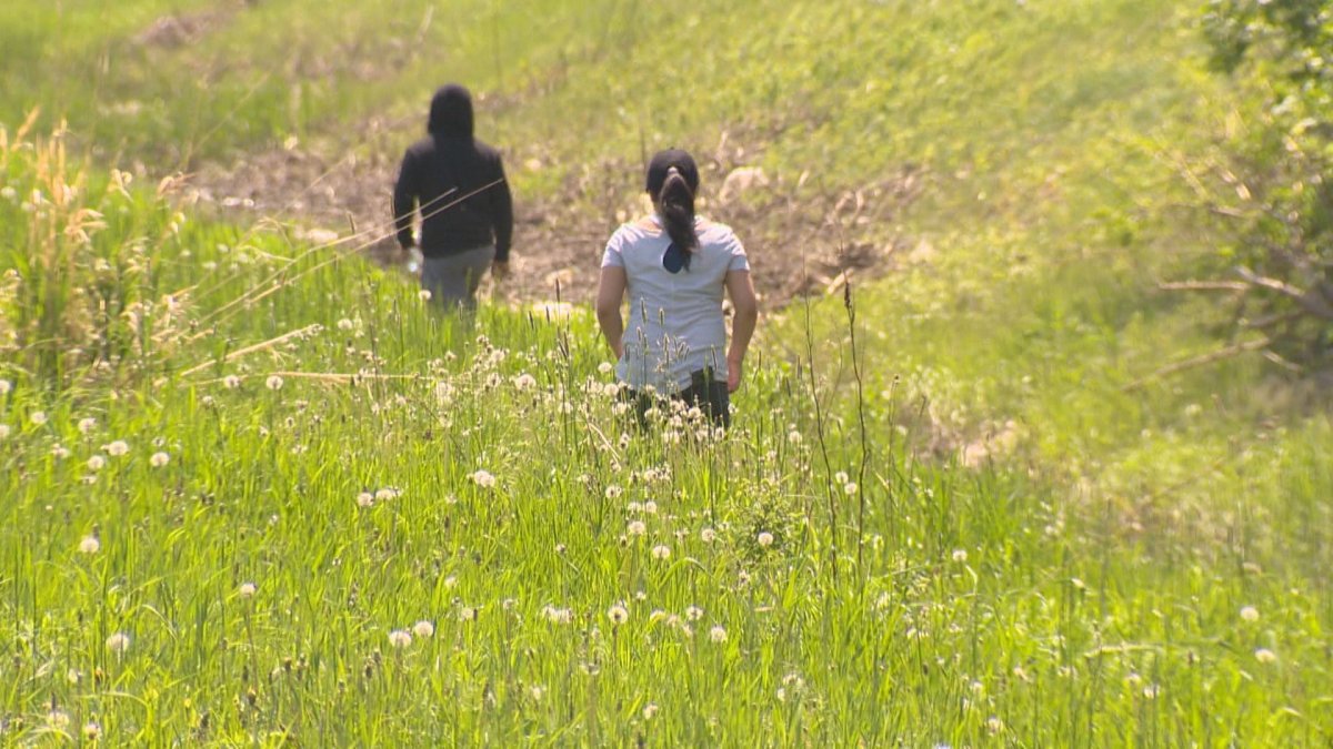 Family of Eduardo Balaquit combed the ditches along the Perimeter Highway Thursday searching for any sign of the missing husband and father. 