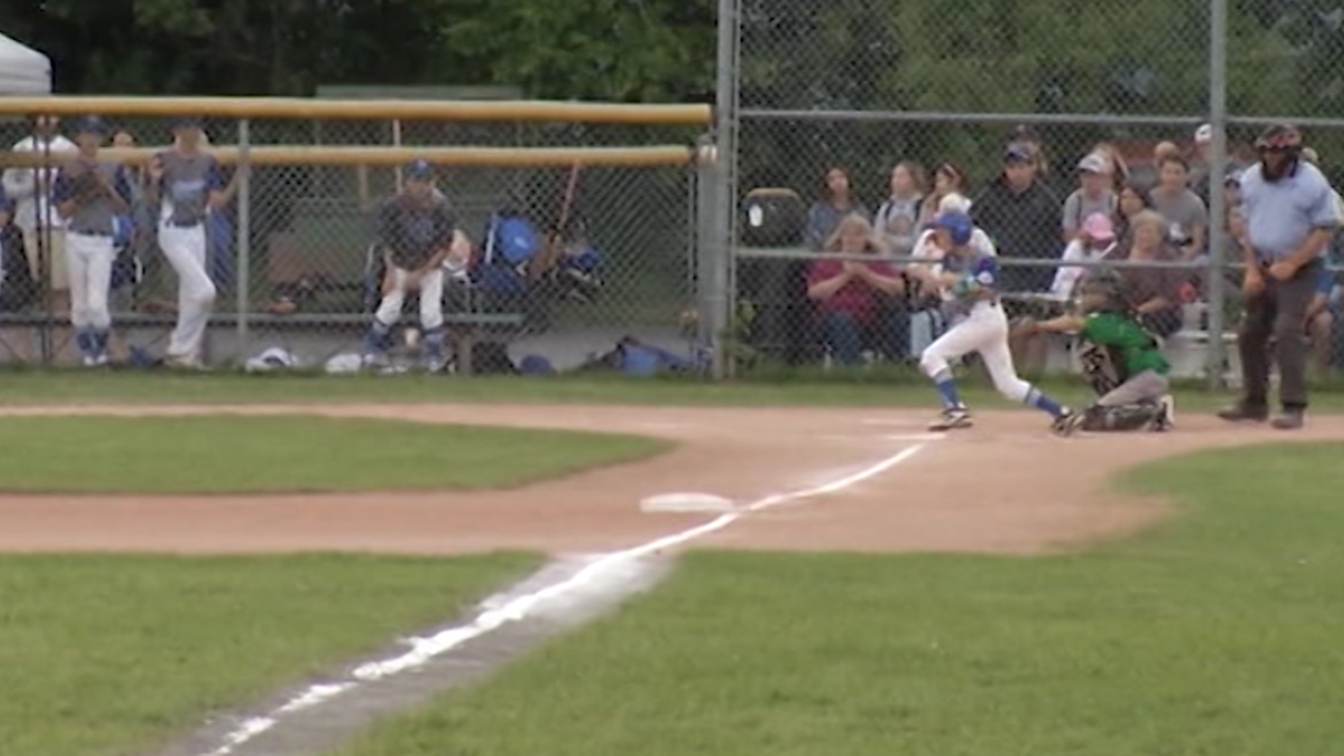 Galleries > Colts (Kingston Baseball Association)