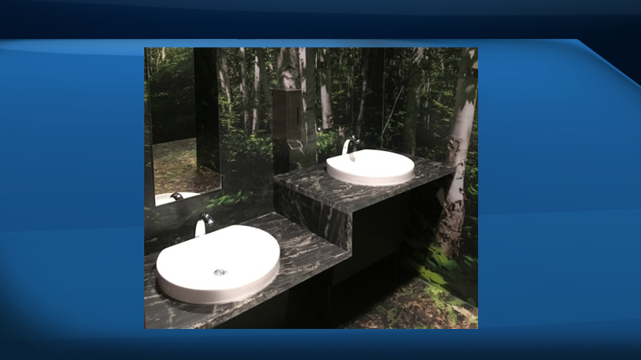 A look inside the new, award-winning, forest-themed washroom on the second floor of the Saskatchewan Science Centre.