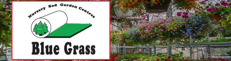 Blue Grass Nursery – Listen for Your Chance to Win! - image