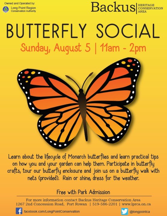Butterfly Social GlobalNews Events
