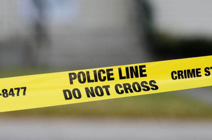 Calgary police investigate alleged drive-by shooting in northeast