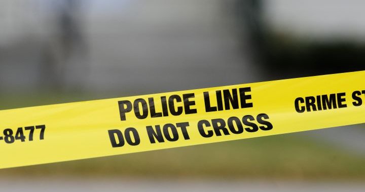 Calgary police investigate alleged drive-by shooting in northeast – Calgary