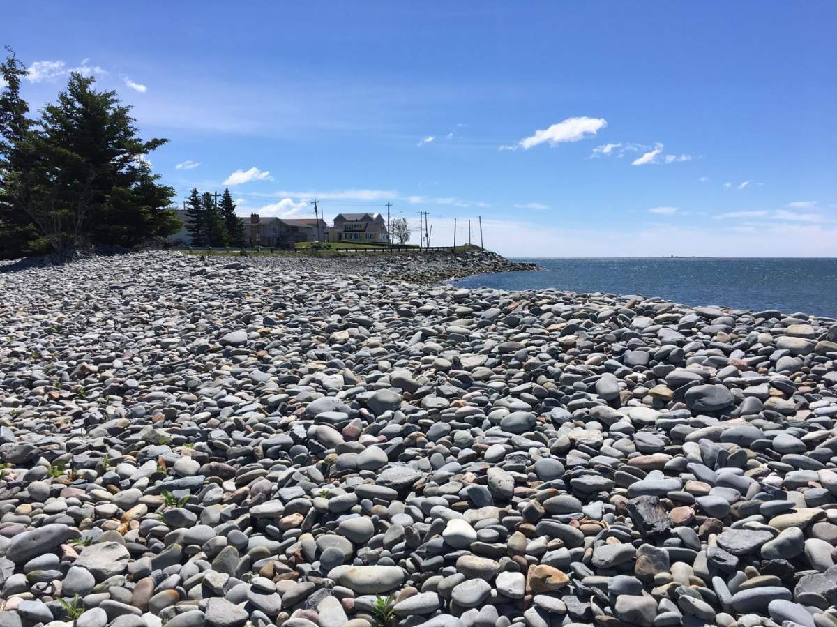 A federal government geoscientist has developed fresh maps of coastlines showing where flooding and erosion.