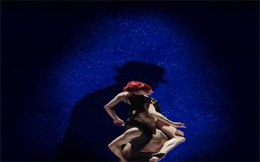 Dance Me - image