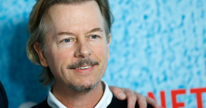 David Spade donates $100,000 to mental health charity after sister-in-law  Kate's death - National 