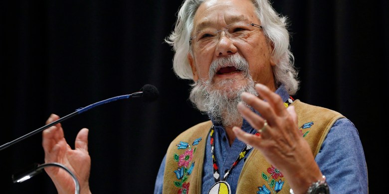 David Suzuki to retire from 'The Nature of Things' next year