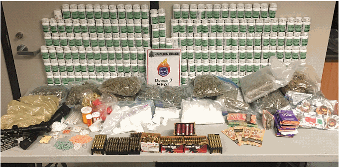 Hamilton police have made a massive drug bust on the mountain. 