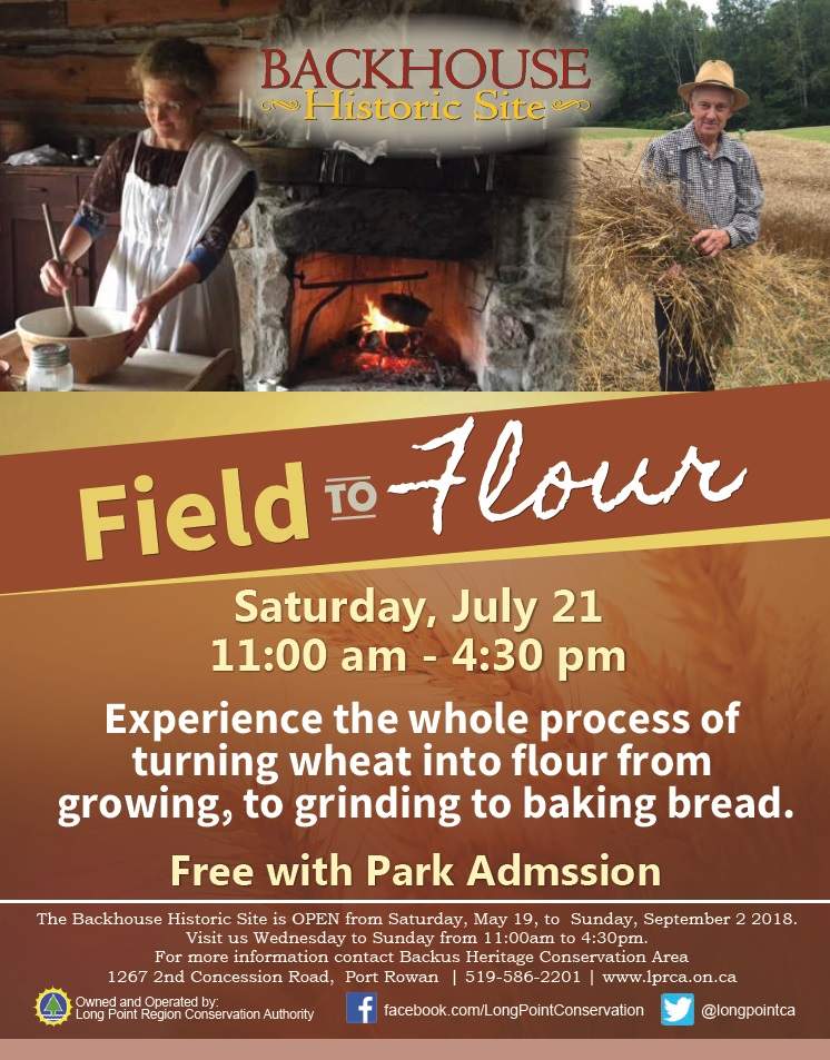 Field to Flour - image