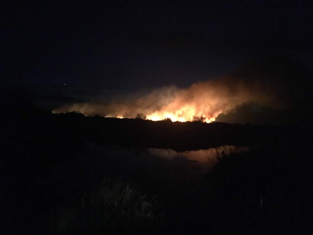 Large grass fire breaks out near St. Andrews late Friday - image