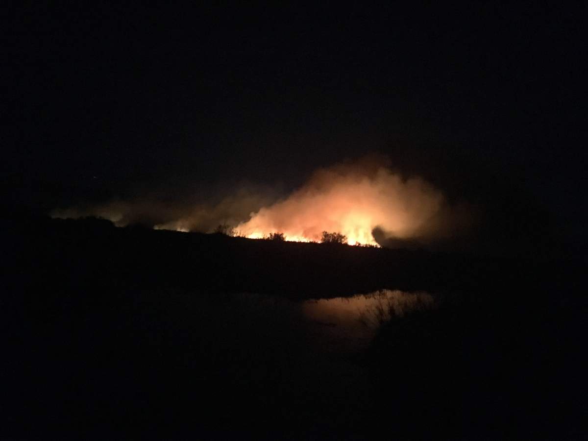 Large grass fire breaks out near St. Andrews late Friday - image
