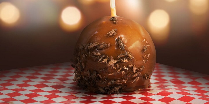 Calgary Stampede 2018: New food to hit the midway - image