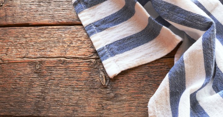 Could your dish towel be making you sick? - MSU Extension