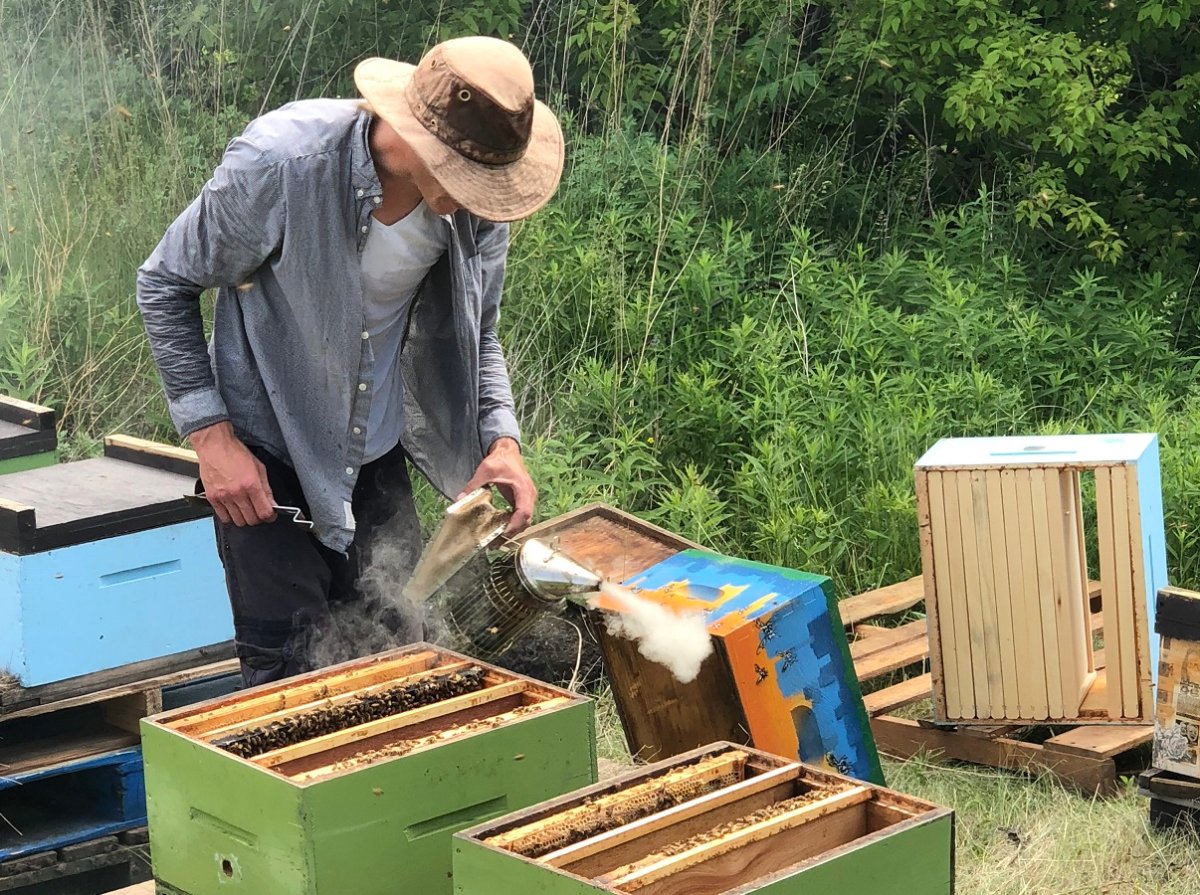 Humble Bee, a Hamilton-based urban beekeeping company, will install a bee yard on Hamilton's waterfront.