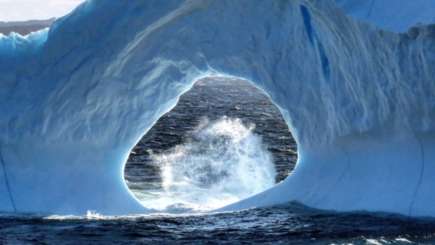 An iceberg is seen in Amherst Cove, N.L. on June 4, 2018 in this handout photo. 