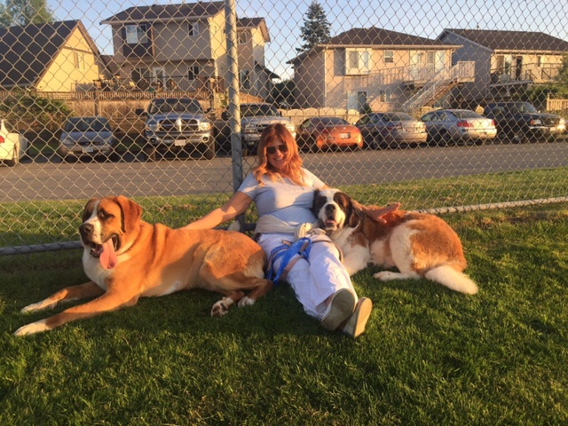 Before and after: Once neglected and abused, these BC SPCA rescue dogs are loving life again - image