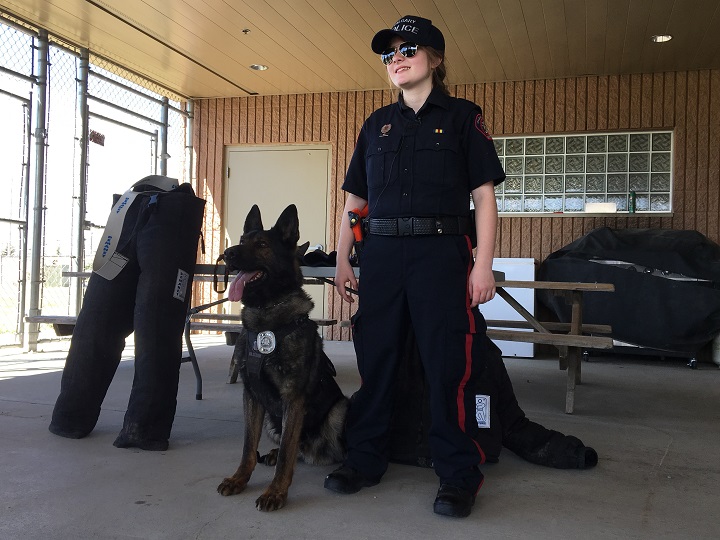Honorary Const. Brooklyn Carlson with Calgary Police Service canine unit dog Max.