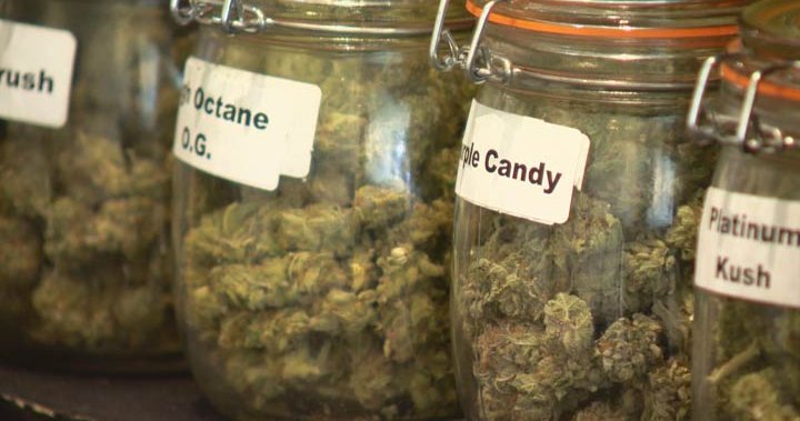 How Saskatchewan cannabis prices have plummeted