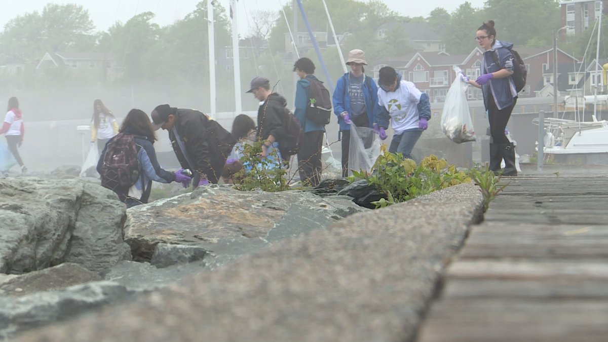 Volunteers work to clean debris from along the Halifax harbour on Saturday, June 2, 2018.