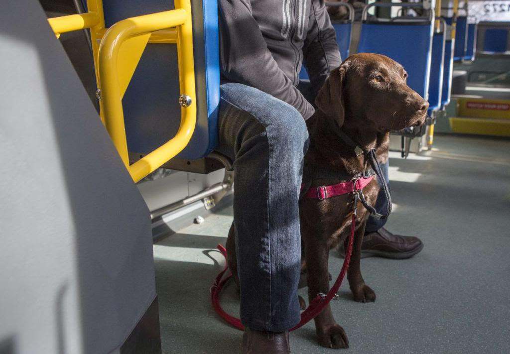 It’s taken two-years for the provincial government to enact a new law that aims to protect service dogs and their handlers across the province.