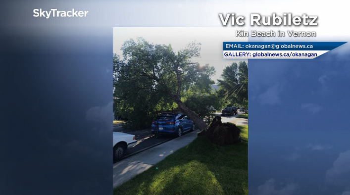 Major wind damage was reported at Kin Beach in Vernon.