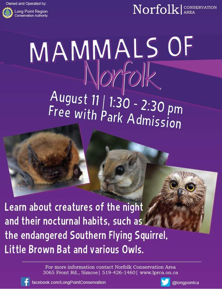 Mammals of Norfolk - image